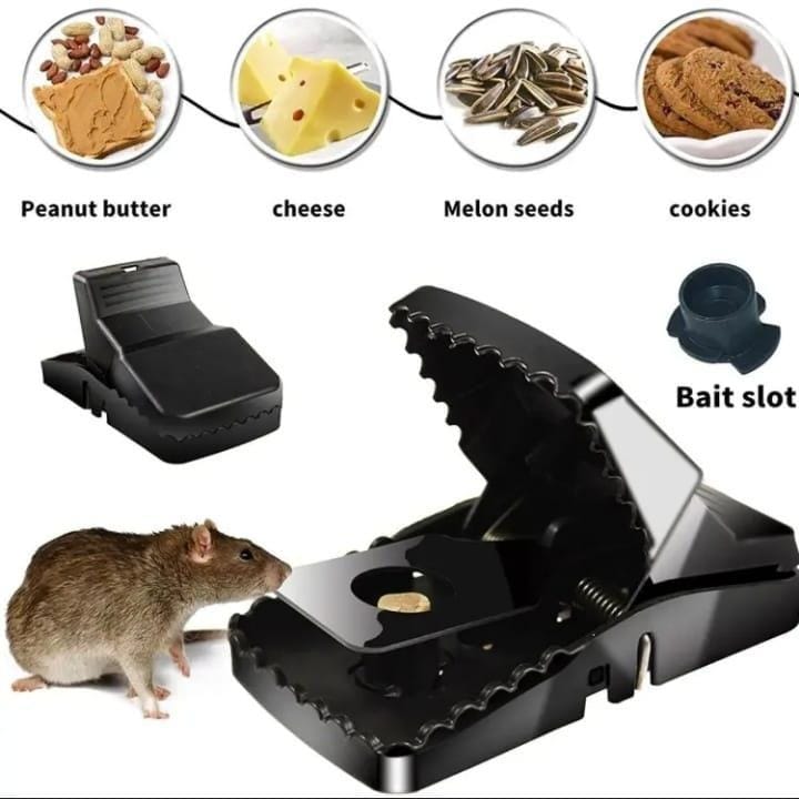 Mouse Trap, Pack Of 2